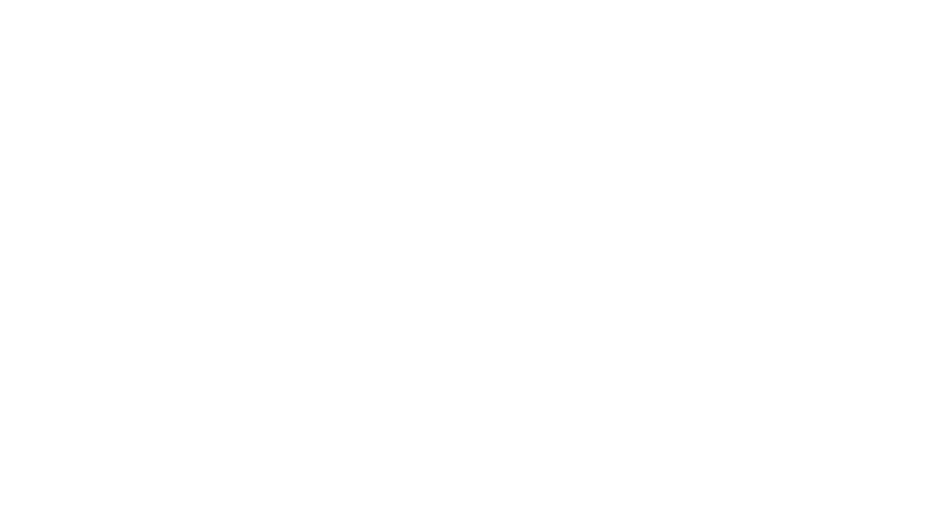 PAL WINDS Website